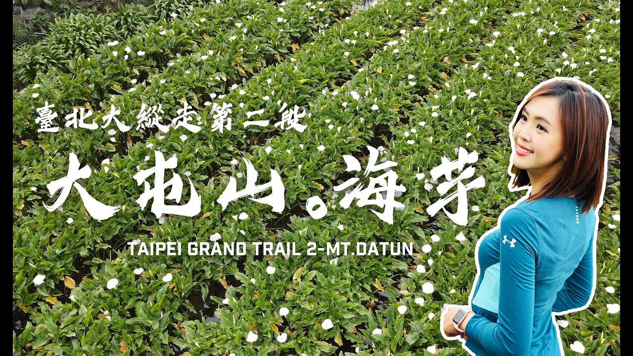 一秒到瑞士 臺北大縱走第二段 登大屯山連峰 海芋步道雪白盛開