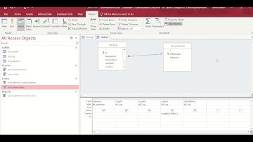 How To Create a Parameter Query & Report - MS Access