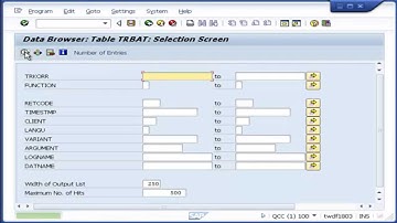 TMS import procedure - Ilustrating TRBAT / TRJOB