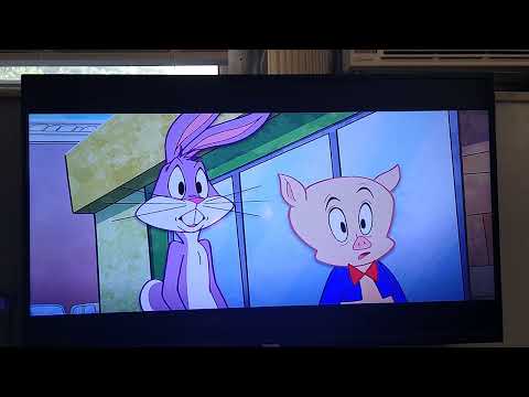 Lola bunny got a driver license