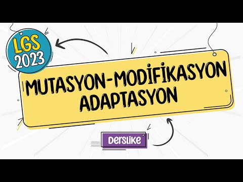 Mutasyon Modifikasyon Adaptasyon | LGS 2023