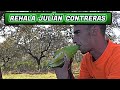 REHALA JULIAN CONTRERAS 2020 | Julian Contreras