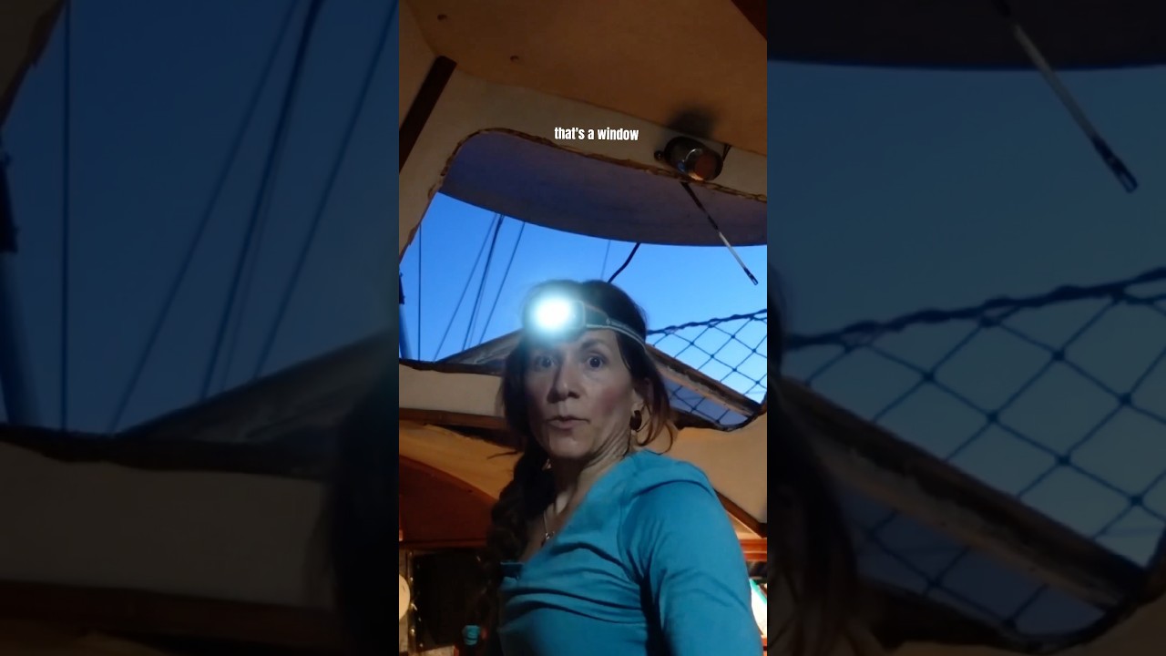 ⁣I'm working on about 15 projects, simultaneously., but I WILL be sailing and scuba-ing this year💪