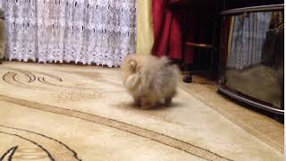 Trim 1A234E53 67Cd 45B5 A8D1 55A090E6657A