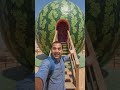 kya ye watermelon hai? 😄🍉😂😹🤣😜