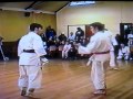 Andre Bertel Kumite Ippon Gyaku Zuki Kara Jodan Mae Ashi Mawashi Geri Andre Bertel Kumite Ippon Gyaku Zuki Kara Jodan Mae Ashi Mawashi Geri