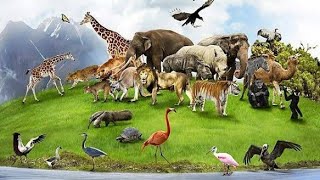 Samje une Jo hamare tarha jina cc hate he#animal#jangal 