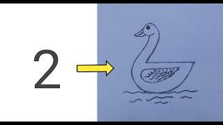 How to Draw an Easy Duck drawing