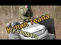 Перекуп купил Nissan Teana у солдата в Ульяновске . Жизнь перекупа. Перекуп авто