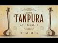 Tanpura for Riyaz in C# | 1 Hour Acoustic Tanpura for Meditation & Practice | Nishad (Ni-Sa-Sa-Sa)