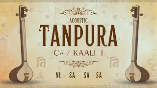 Tanpura for Riyaz in C# | 1 Hour Acoustic Tanpura for Meditation & Practice | Nishad (Ni-Sa-Sa-Sa)