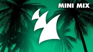 The Bearded Man - Beards On The Beach (Miami 2017) [OUT NOW] (Mini Mix)