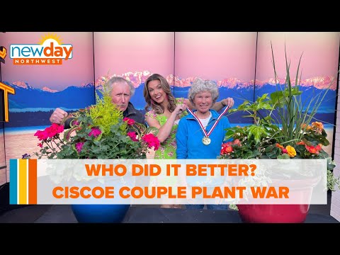 Who did it better? Ciscoe and Mary Morris go to war … plant war