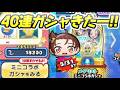 ぷにぷに メダリストコラボガシャ40連回せば結束いのり出てくるだろー！？　妖怪ウォッチぷにぷに　レイ太