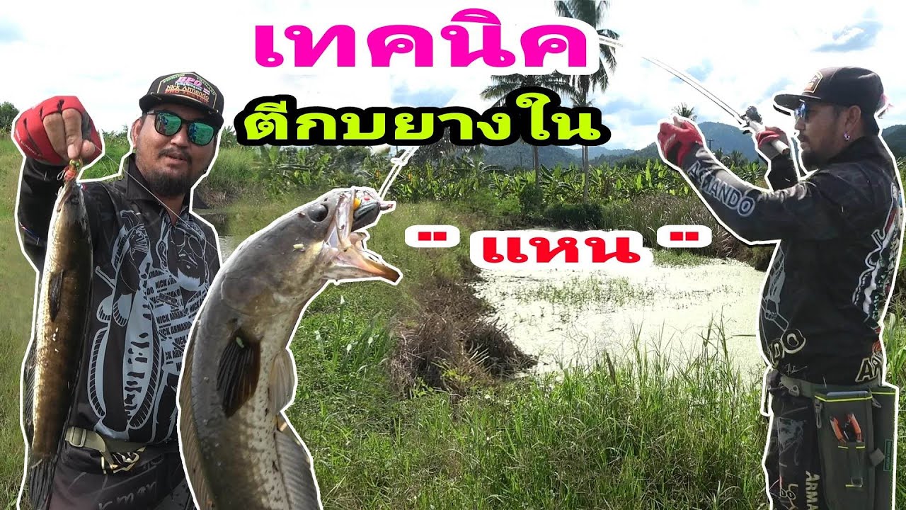 เทคนิค การตีกบยางใน แหน ทวินเทอโบ