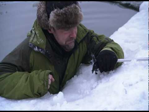 Falling Through Ice
