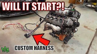 THIS HAS TO WORK!- Crazy 3UZ Engine Wiring! ( 1 week engine swap )