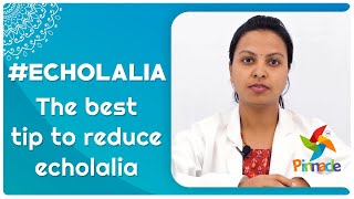 #Echolalia - The Best Tip To Reduce Echolalia | Pinnacle Blooms Network