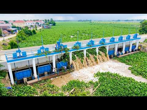 Teamwork at Its Best! Clearing the Dam Gate From Massive Plants