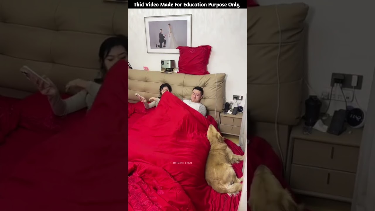 Survival Skills: SIMPLE and USEFUL