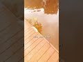 POST FLOOD INSPECTION