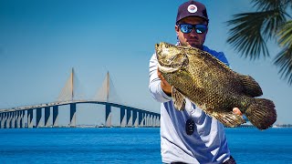 Fishing Tampa Bay's Most Overfished Spot!