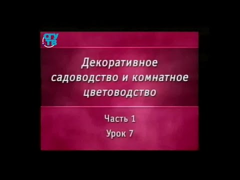 Цветы. Урок 1.7. Семейство ароидные. Часть 2