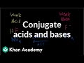 Amphoteric Substances & Conjugate Bases - YouTube