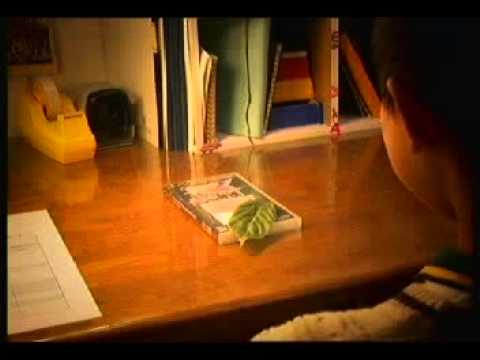 CM PSP ファンタシースター ポータブル2