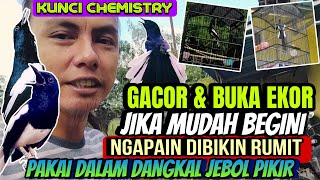 Download Lagu SIMPEL, CUMA BEGINI ⁉️ STOP DALAM DANGKAL JEBOL JEBOL || CHEMISTRY BIKIN KACER GACOR DAN BUKA EKOR Download Lagu SIMPEL, CUMA BEGINI ⁉️ STOP DALAM DANGKAL JEBOL JEBOL || CHEMISTRY BIKIN KACER GACOR DAN BUKA EKOR