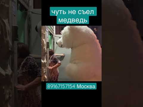 Голодный мишка на дне рождения