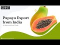 Papaya Export from India: Key Markets and Growth Trends