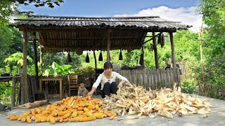 The corn I planted in the garden has been harvested. Storing and cooking | Sơn Thôn