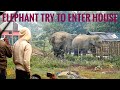 Elephant broke into the house   wild assam