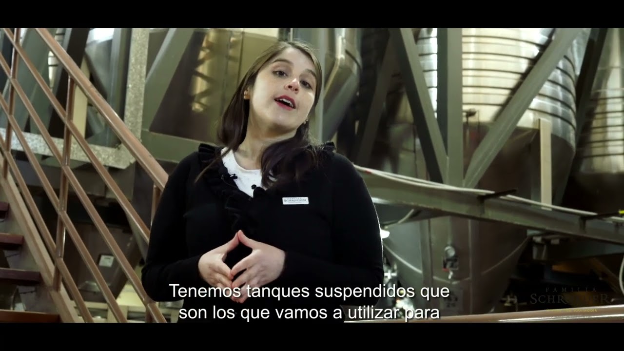 Recorrido Virtual por Bodega Familia Schroeder