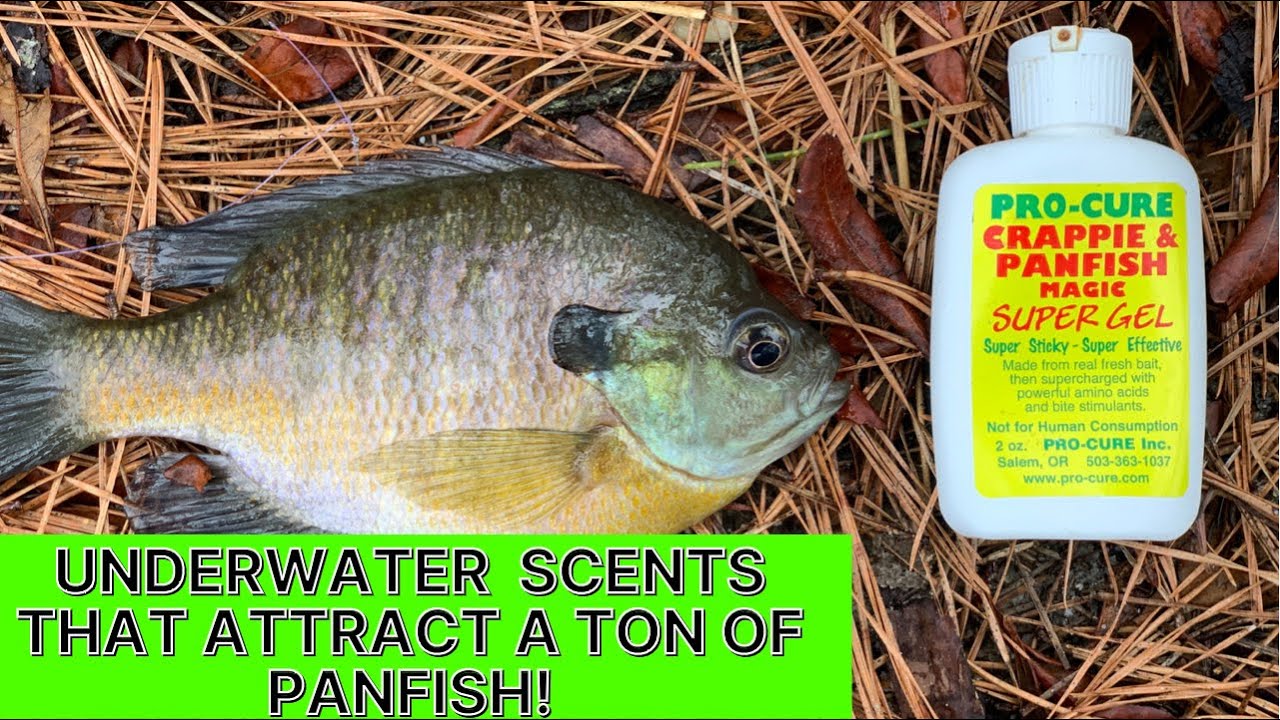 6 Proven Panfish Setups You Need to Use