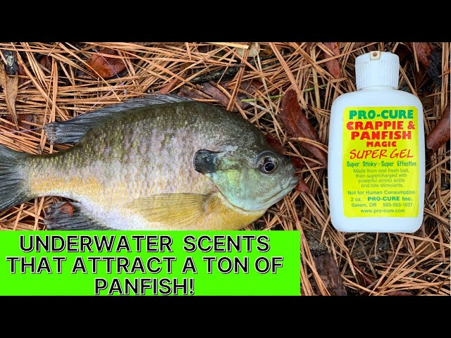 I Can't Believe I'm Giving Away My Secret Scent Attractant Recipe 