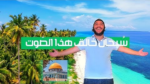تلاوة مذهلة القارئ حمزة مدبوح يا الله ما احححححححلى هذا الصوت تلاوة تهتز لها القلوب قرآن مع طبيعى