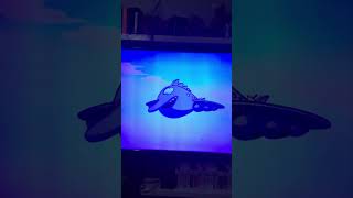 CatDog Fetch