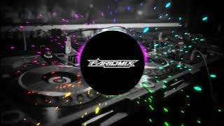 DJ REMIX LAGU BANJAR TOMMY KAGANANGAN Ft PUTRI SYAHILLA | SALAWASNYA | 2025 PASTI ASEK