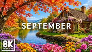 September 2026 🍂 Autumn's Most Beautiful 8K | Golden Landscapes, Fall Colors & Peaceful Nature News