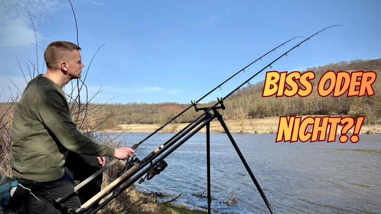 Angeln am Fluss – Unsere Feedermontagen & Taktik!