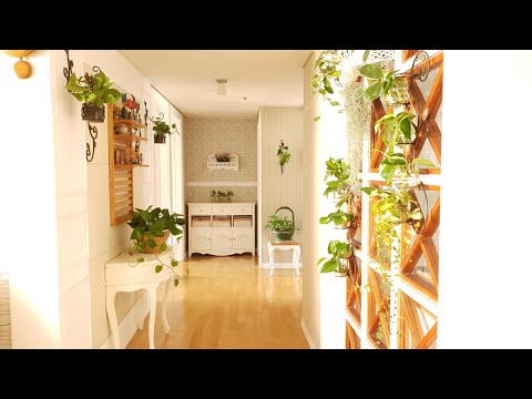 스킨답서스 하나로 사계절 싱그러움이 가득한 집안 꾸미기~♡ 스킨답서스 하나로 사계절 싱그러움이 가득한 집안 꾸미기~♡