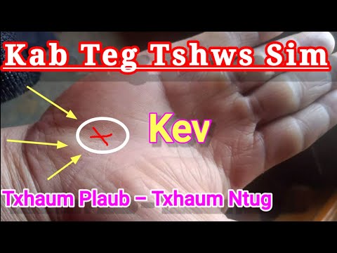 Video: Kev Yuav Txuag Tau Li Cas Thaum Muaj Kev Kub Ntxhov