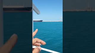 LNG , LPG ,OIL TANKER,  BULK CARRIER, DP VESSELS, |all vessels together