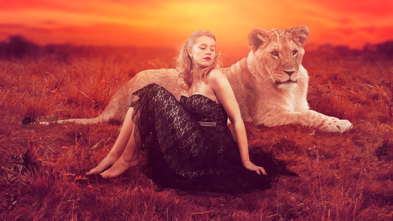 Aveelie - Predator - Slow bachata song 120 BPM 2026 video 