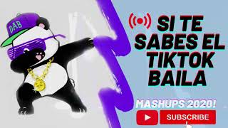 Download Si Te Sabes El Tiktok Baila 2020 I Tikotok Baila Video MP3 Si Te Sabes El Tiktok Baila 2020 I Tikotok Baila