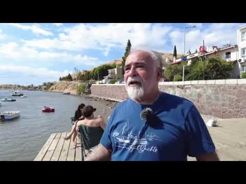 Fo&ccedil;a&rsquo;da ilgin&ccedil; olay: Denizde y&uuml;zen kişinin g&ouml;beğine martı kondu