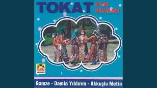 Tinyabın Taşları