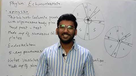 Echinodermata Part-1 | Palaeontology | Geology | Gate | CSIR-NET | GSI (P) | IIT JAM | BHU |